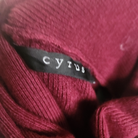 Cyrus burgundy cowl neck sweater - Picture 5 of 9